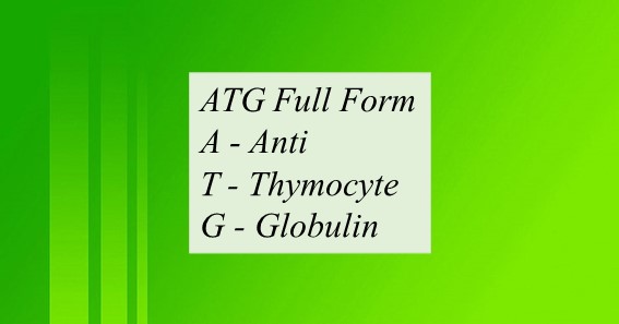 ATG Full Form