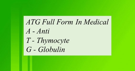 ATG Full Form In Medical