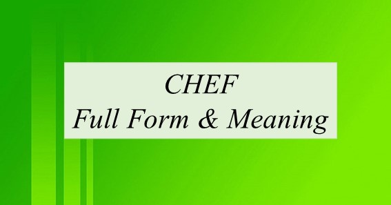 CHEF Full Form & Meaning 