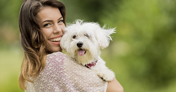 Tips to Make Your Pet Famous on Instagram