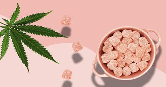 What’s With All The Rage About CBD Gummies?