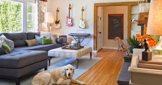 Creating A Pet-Friendly Home
