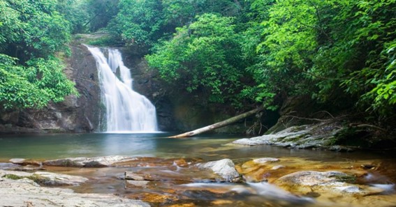 Top 6 National Parks In Georgia