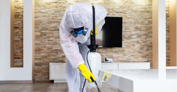 5 Key Points While Employing A Pest Control Company
