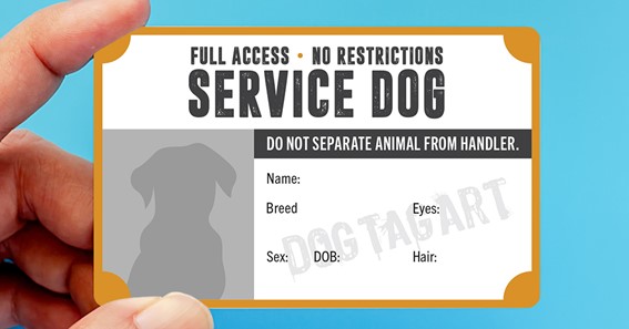 Service Dog ID Cards: What You Need to Know as a Handler