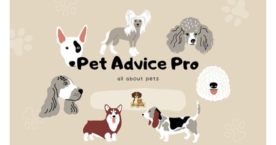 Pet Advice Pro